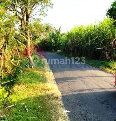 Tanah di Tulungagung, Tulungagung SHM 1.050 m² 2