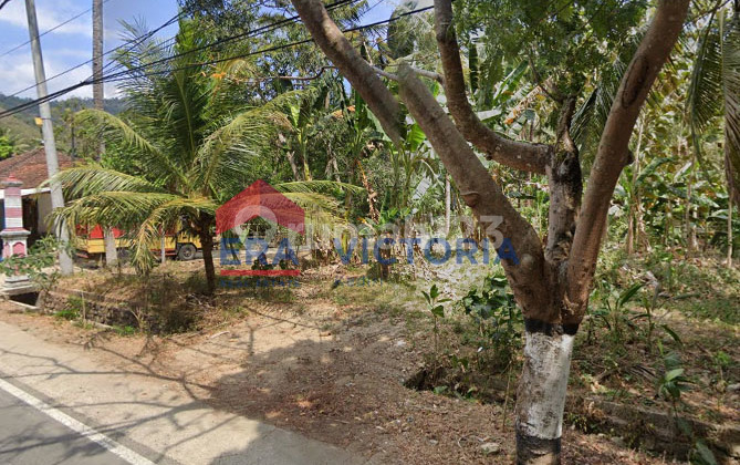 Jual Tanah 322 M2 SHM Arjosari, Pacitan