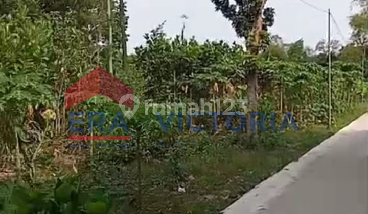 Tanah di Pare Kandangan Dekat Minimarket