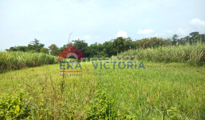 Sawah Land Campurejo Kediri City 3 Minutes from Tamanan Terminal