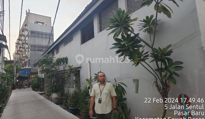 Rumah Murah 2lt di Jl Sentul,pasar Baru,sawah Besar,jakpus 2