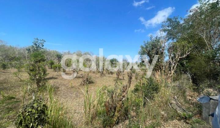 COMMERCIAL LAND BELAWAH KANGIN PECATU BADUNG, BALI COMMERCIAL LAND BELAWAH KANGIN PECATU BADUNG, BALI