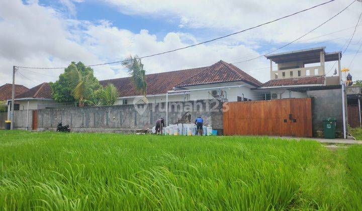 Long Term Sewa with Rice field View In Gunung Patas Kerobokan 2