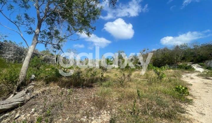 COMMERCIAL LAND BELOW KANGIN PECATU BADUNG, BALI COMMERCIAL LAND BELOW KANGIN PECATU BADUNG, BALI