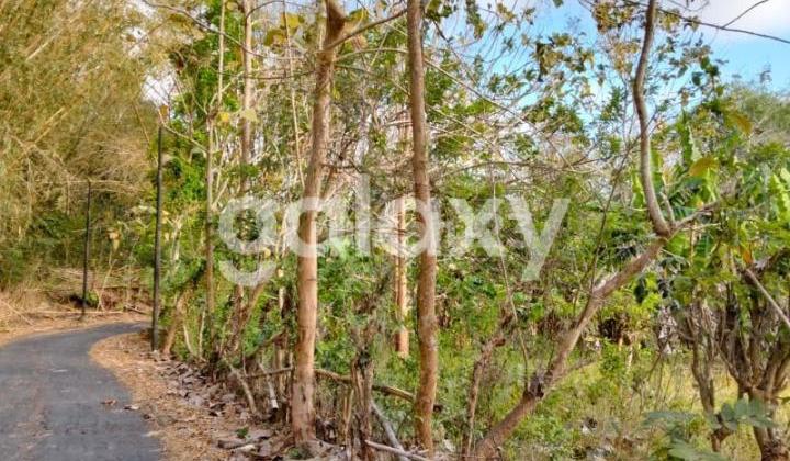 COMMERCIAL LAND BELAWAH KANGIN PECATU BADUNG, BALI COMMERCIAL LAND BELAWAH KANGIN PECATU BADUNG, BALI
