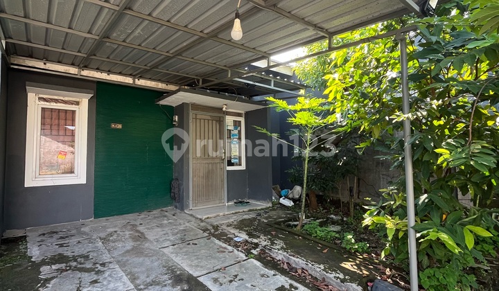 Rare House Best Position Rare House Best Position