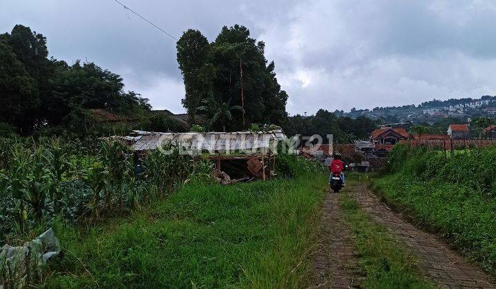 Tanah Murah Istimewa Di Mainroad Kolonel Masturi 2