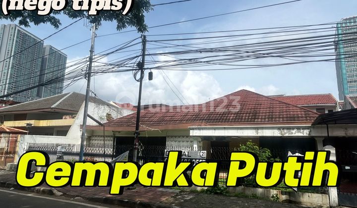 Jual Cepat ! Rumah Hitung Tanah 500 M² - Strategis Cempaka Putih, Dekat Kampus Yarsi & Umj - Unit Terbatas! Jakarta Pusat