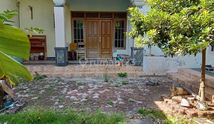 Rumah Seharga Tanah Dijual Daerah Borobudur 2