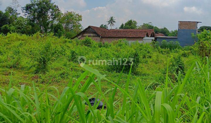 DI  TANAH DAERAH LESANPURO KENDUNG KANDANG 2