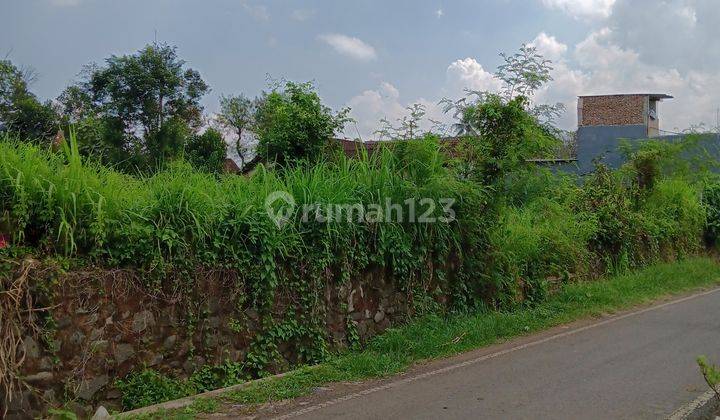 DI  TANAH DAERAH LESANPURO KENDUNG KANDANG 1