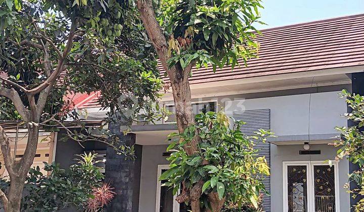 Dijual Rumah Di Permata Jingga Malang 2