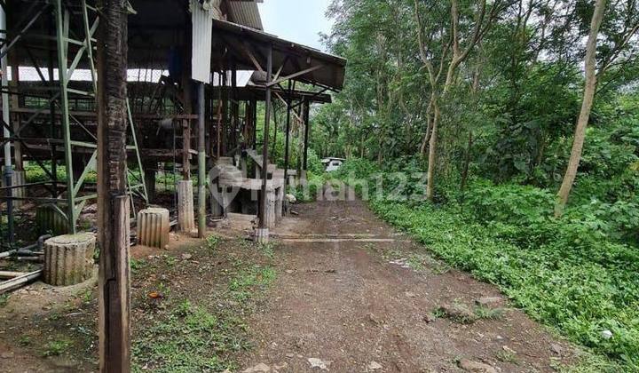 DIJUAL BUTUH CEPAT LAKU PETERNAKAN AYAM PETELUR DI PASURUAN DIJUAL BUTUH CEPAT LAKU PETERNAKAN AYAM PETELUR DI PASURUAN