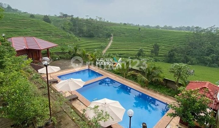 Villa Aktif dan Luas di Daerah Trawas, Mojokerto