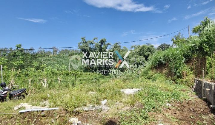 Rumah Rasa Villa Bonus Kebun Jeruk di Daerah Donowarih, Karangploso Malang 2