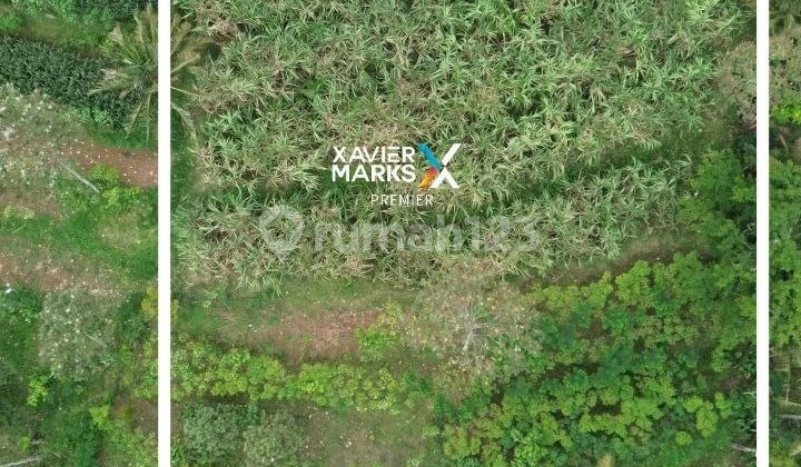 Tanah Kavling di Daerah Petungsewu, Wagir, Kabupaten Malang Tanah Kavling di Daerah Petungsewu, Wagir, Kabupaten Malang