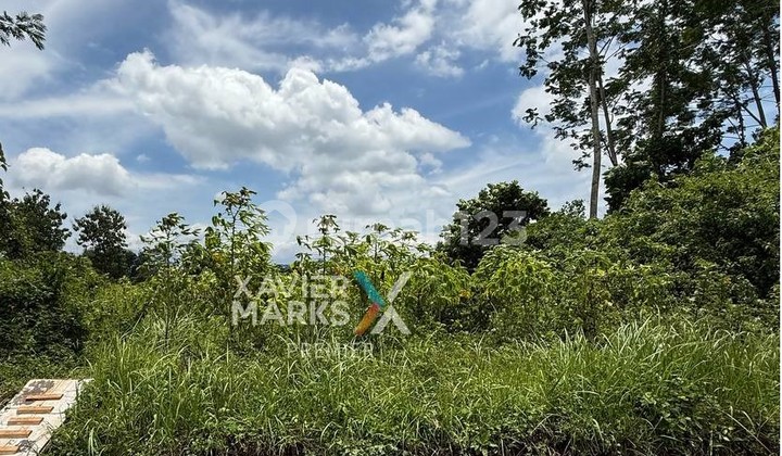 Tanah Lokasi di Dekat Gate Perumahan The Araya, Pakis Malang