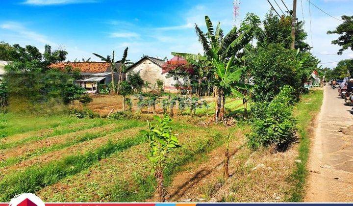 Tanah Dengan Luas 2.478m2 Lokasi Strategis Pinggir Jalan Babelan 2