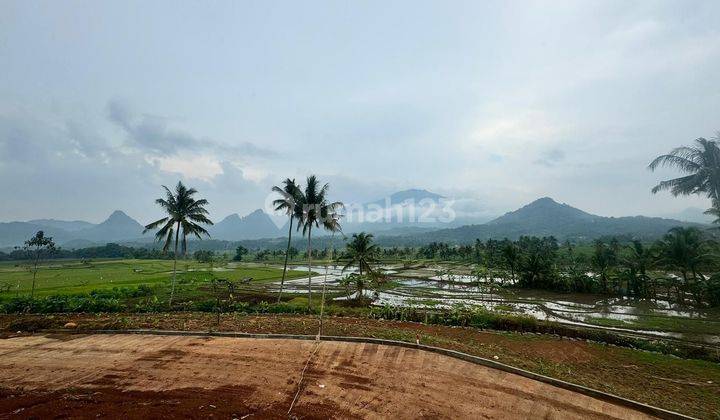 Tanah Murah Pinggir Jalan Provinsi 464 Jutaan Luas 540 Meter 2