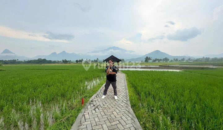 Dijual Tanah Darat Di Bogor View Gunung Menakjubkan 2