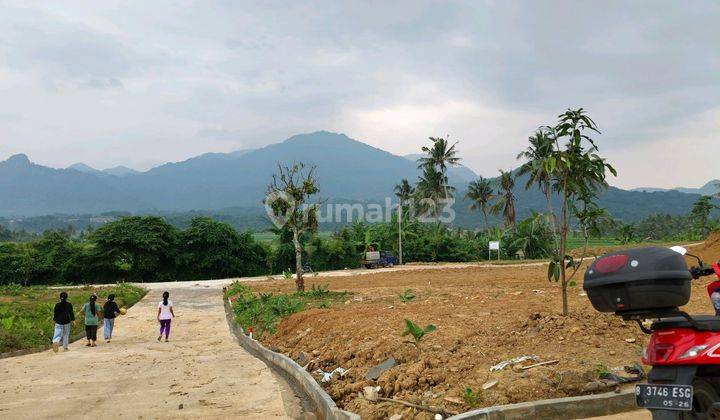 Dijual Tanah Murah Harga 540k/meter Cocok Untuk Investasi 1