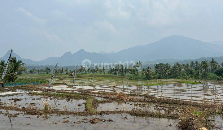 Dijual Tanah Sawah 1000 M² Shm View Indah Pegunungan Bogor 2