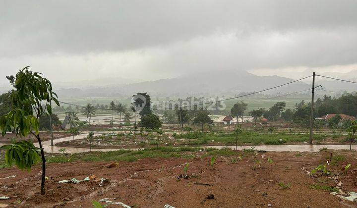 Tanah Murah Nempel Jalan Provinsi Bogor 69 Jutaan Per 100 Meter 2