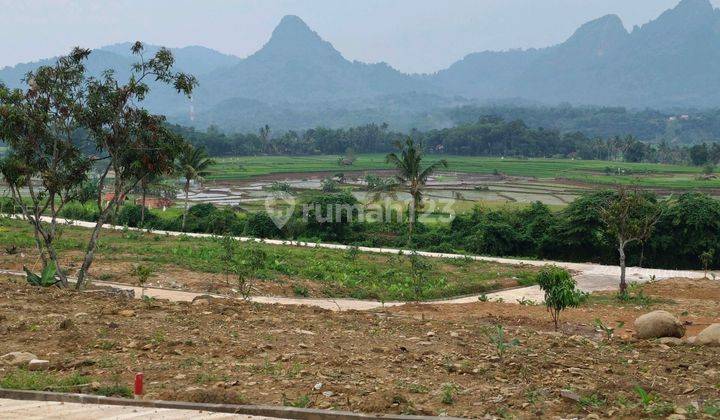 Tanah Kebun Dijual Harga Murah 275 Jt 500 M² Nempel Jln Provinsi 1