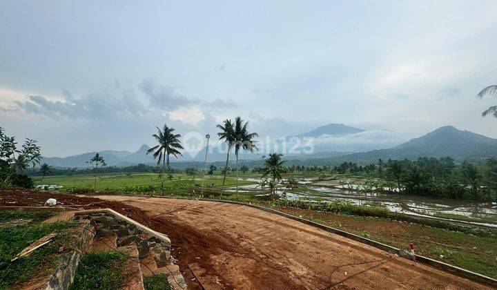 Tanah Murah Pinggir Jalan Provinsi 464 Jutaan Luas 540 Meter 1