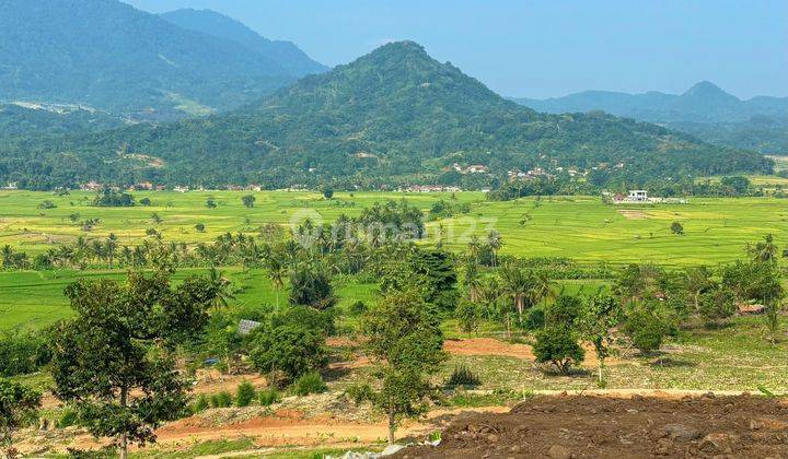 Tanah Mewah Aesthetic Cocok Bangun Villa Dan Rumah Di Jual Murah  1