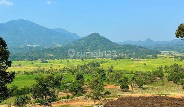 Tanah Mewah Aesthetic Cocok Bangun Villa Dan Rumah Di Jual Murah  2