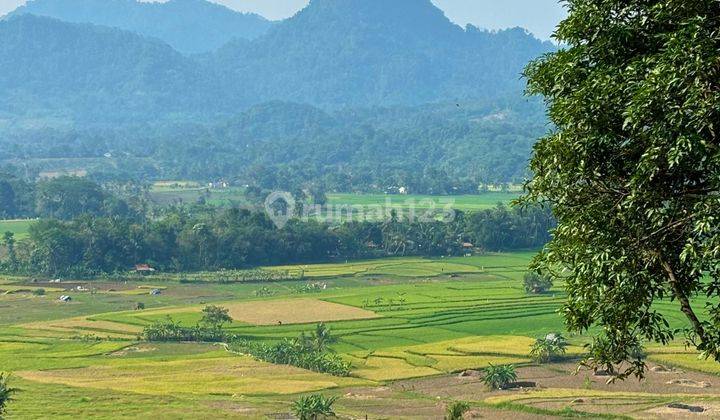 Tanah Mewah Dijual Cepat Hanya 318 Jutaan 374 Meter Di Bogor 2