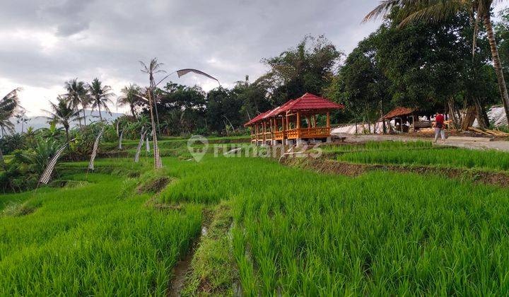 Dijual Tanah Sawah 1000 M² Shm View Indah Pegunungan Bogor 1