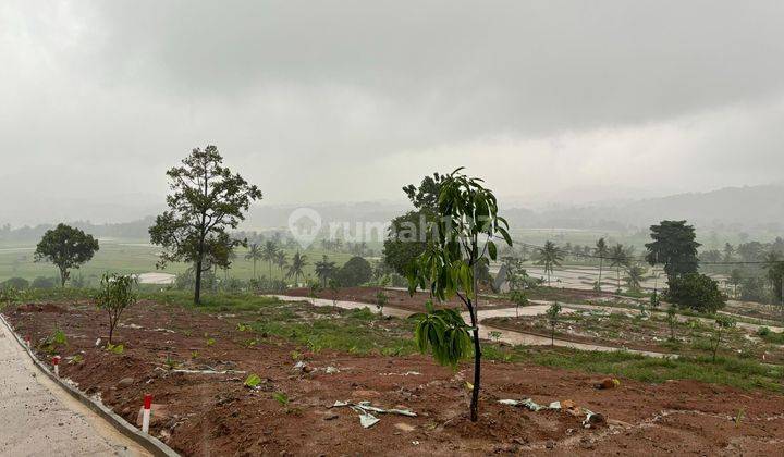 Tanah Murah Pinggir Jalan Provinsi Akses Mudah Dekat Jakarta 2