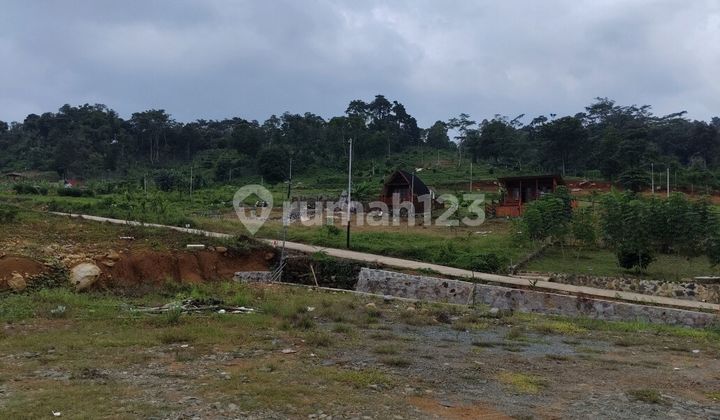 Jual Cepat Tanah Darat Di Bogor Lokasi Strategis Dekat Jakarta  2