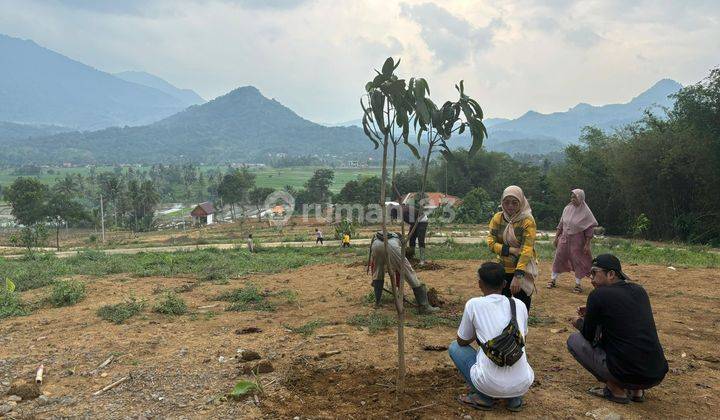 Menakjubkan Ada Tanah Nempel Jalan Provinsi 70 Jutaan 100M² 1