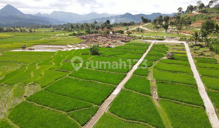 Jual Tanah Kavling Nempel Jln Raya Provinsi Harga Terjangkau 2