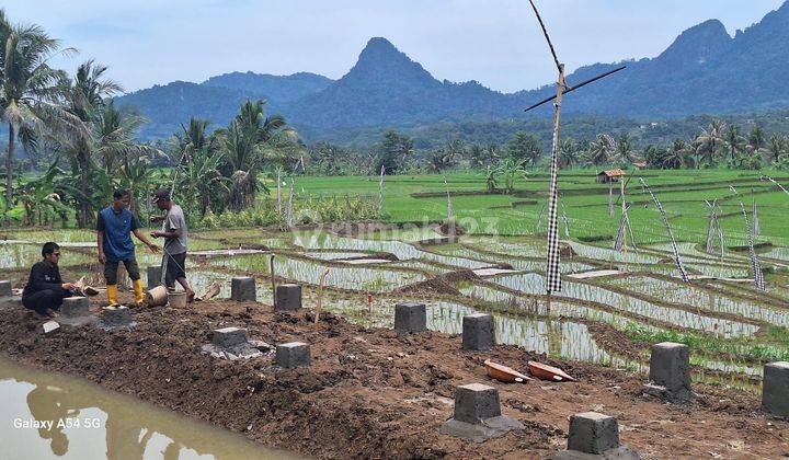 Tanah Murah Banyak Investor Cari 70 Jutaan 100m² 2