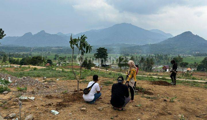 Menakjubkan Ada Tanah Nempel Jalan Provinsi 70 Jutaan 100M² 2