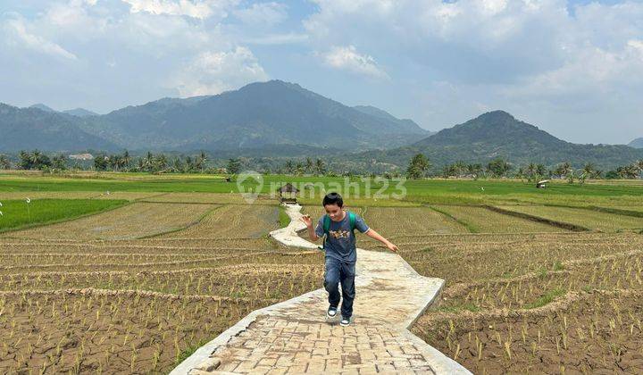 Dijual Kavling Sawah Harga 490 Jutaan 1000m² Di Bogor  2