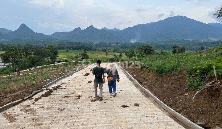 Tanah Murah Banyak Investor Cari 70 Jutaan 100m² 1