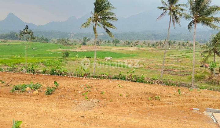 Tanah Nempel Jalan Provinsi Dijual Cepat Lokasi Dekat Jakarta 1