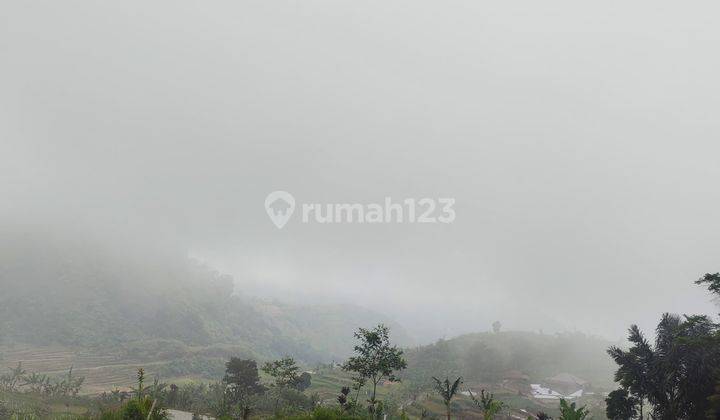 Tanah Murah Terbaik Di Bogor 414 Juta 600 M² Dekat Jakarta 1