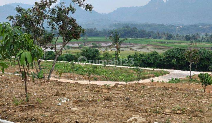 Jual Tanah Kebun Di Bogor Lokasi Strategis Nempel Jl Provinsi 1