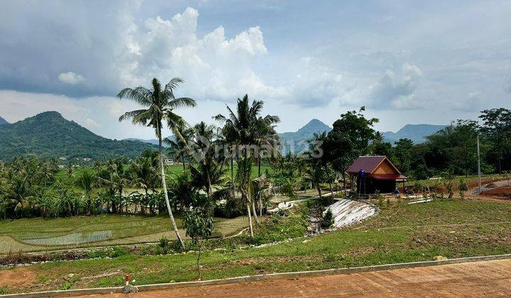 Luar Biasa Paling Murah Di Bogor 546 Juta Dapat 700 Meter 1