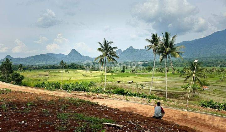 Tanah Murah Di Bogor Cuma 70 Jutaan Per 100 Meter 2