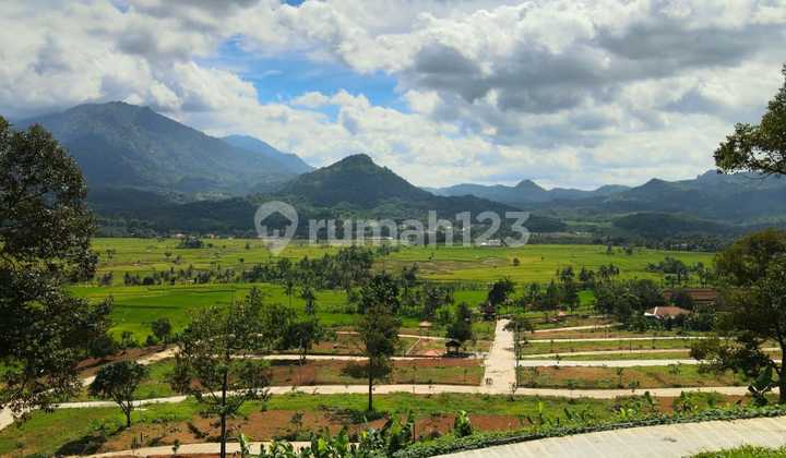 Jual Tanah Kavling Nempel Jln Raya Provinsi Harga Terjangkau 1