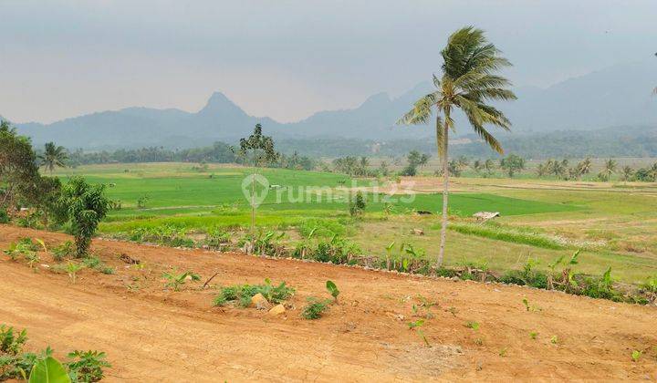 Tanah Nempel Jalan Provinsi Dijual Cepat Lokasi Dekat Jakarta 2