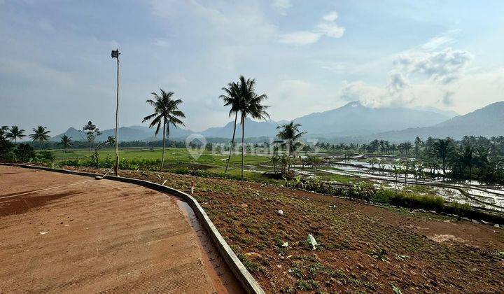 Tanah Murah Pinggir Jalan Luas 400 M² Hanya 312 Juta Bogor 2