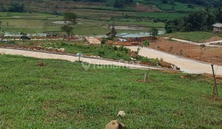 Tanah Kebun Dijual Lokasi Strategis Akses Mudah Murah View Cakep 1